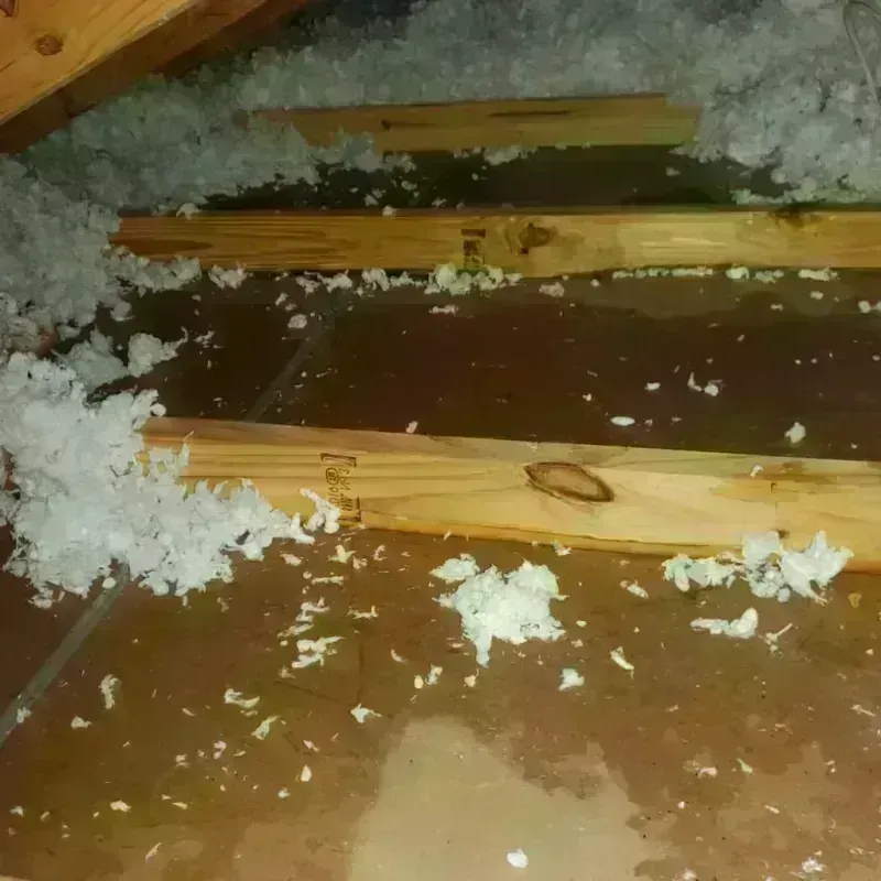 Attic Water Damage in Waimanalo Beach, HI